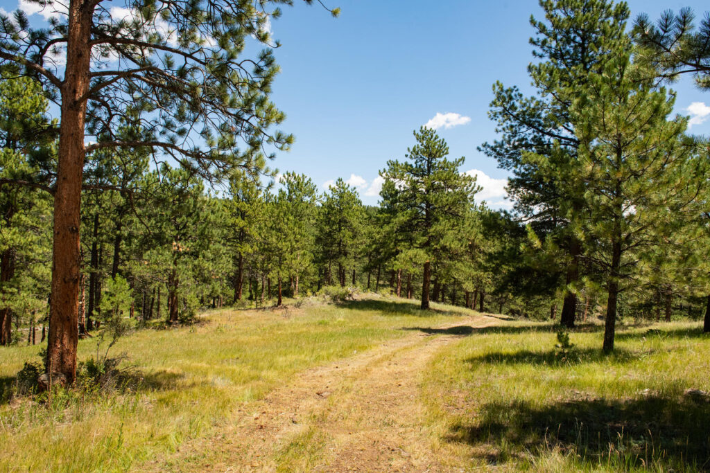 Legacy Ranch Evergreen Colorado Active Land Listing Horse Property North Evergreen Kerr Gulch