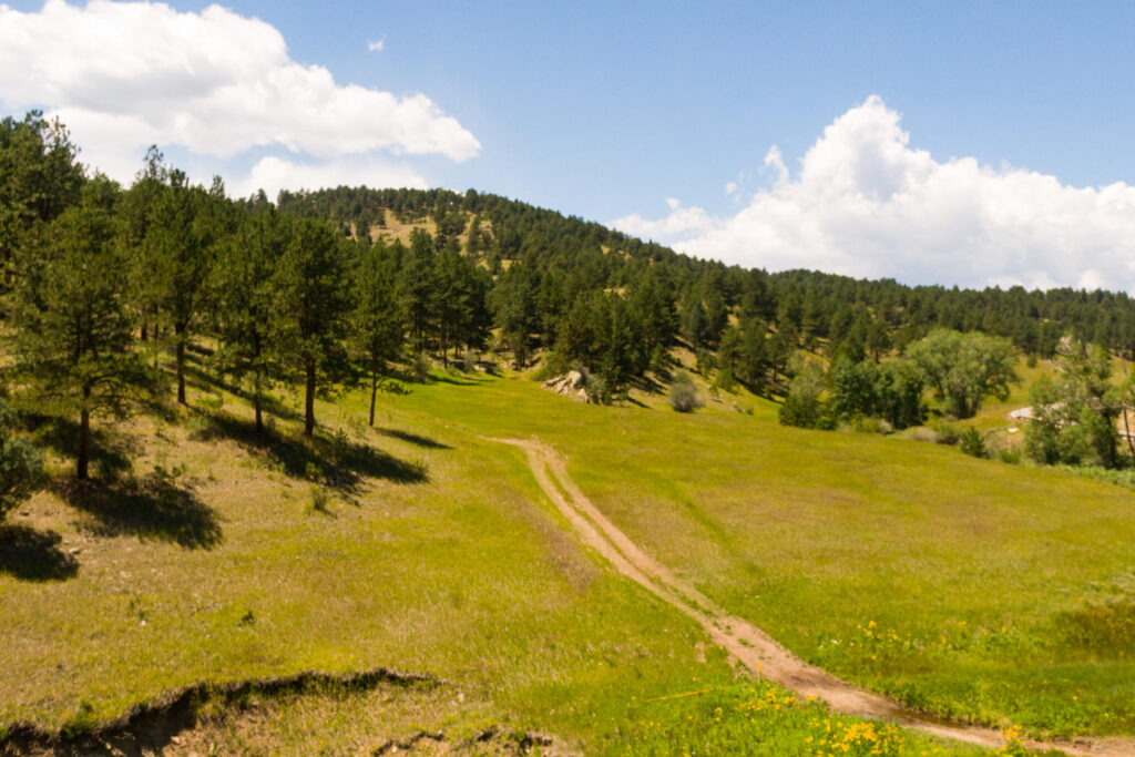 Lot 2 Legacy Ranch. Active land listings in Evergreen, Colorado. 40+ acres. Kerr Gulch neighborhood. Mountain property. Luxury real estate